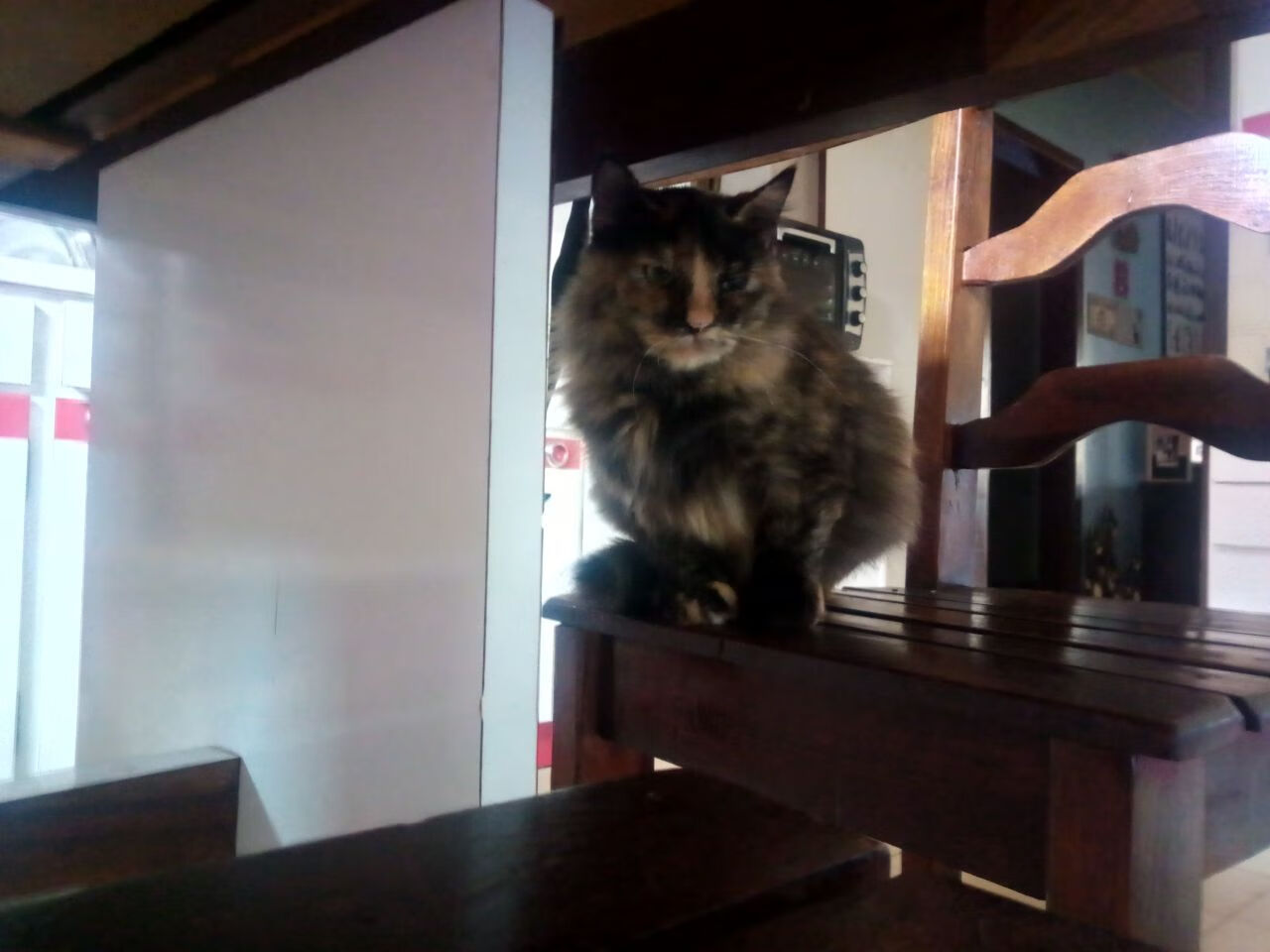 2026世界杯倒计时:场馆设计融入未来科技元素,确保高科技体验,2026世界杯场地