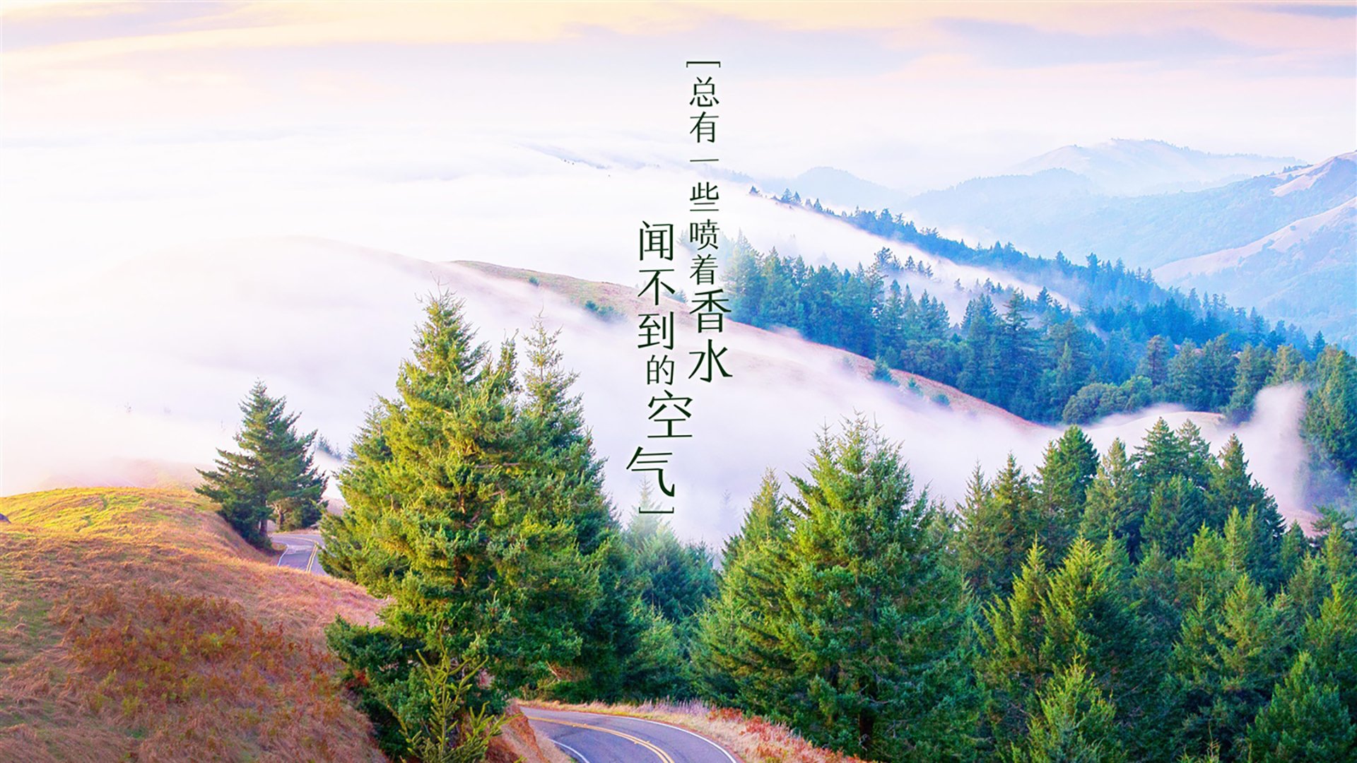 开云官网首页-高校体育赛事品牌传播与粉丝经济,体育赛事品牌营销