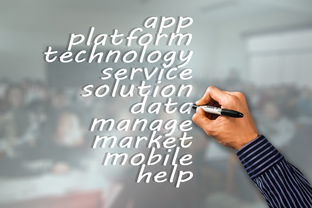 开云体育中国官网-瑞典队未来：如何建立更具竞争力的国际品牌，瑞典队分析